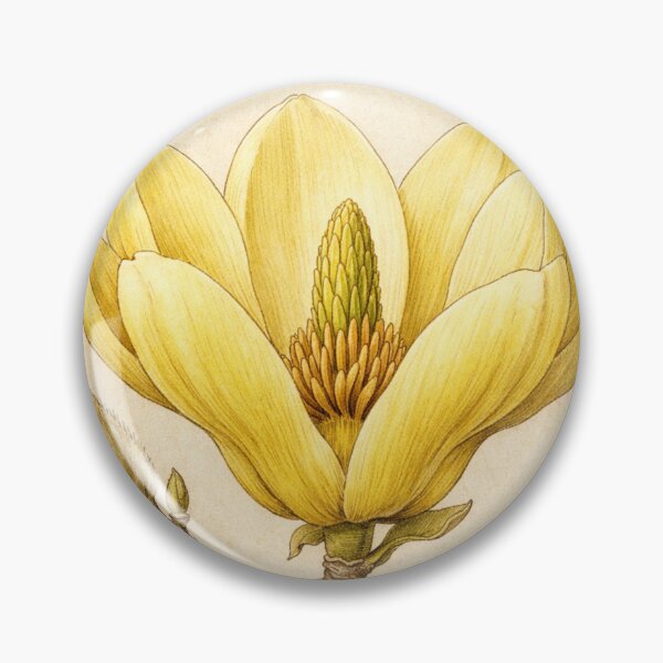 Item preview, Vintage Yellow Magnolia Botanical Print - Antique Magnolia Flower Illustration designed and sold by Darlin8888.