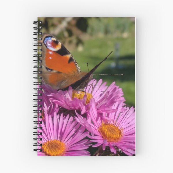 Artikelvorschau, Ein Schmetterling auf einer Blüte. entworfen und verkauft von MonStile.