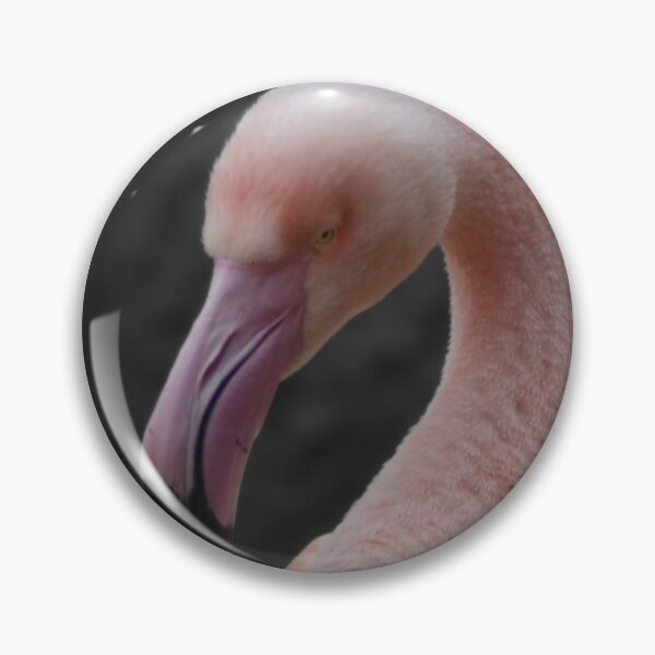 Item preview, Flamingo in color on gray designed and sold by El pato garabato.