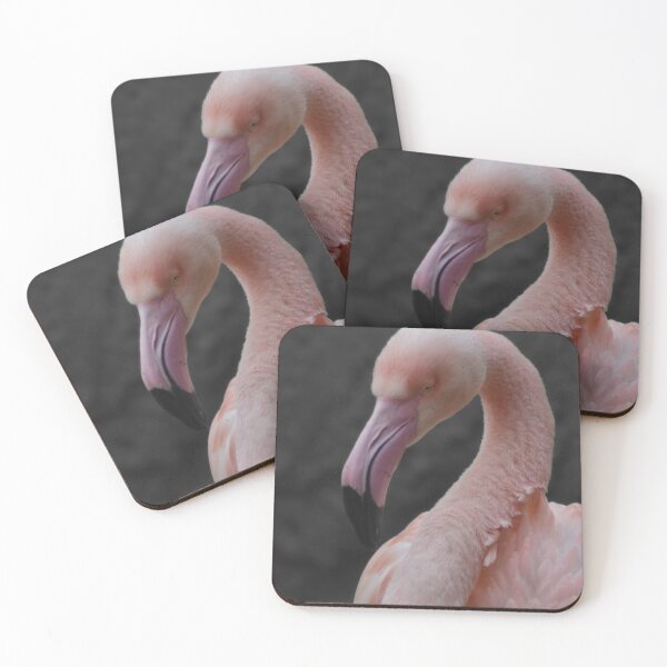 Item preview, Flamingo in color on gray designed and sold by El pato garabato.