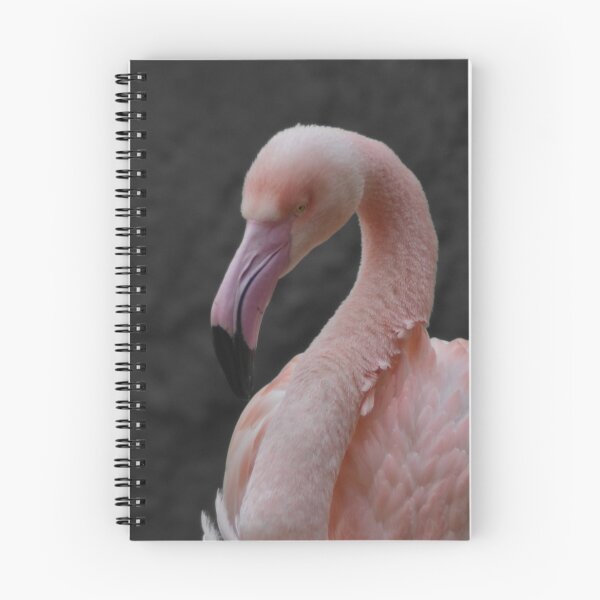 Item preview, Flamingo in color on gray designed and sold by El pato garabato.