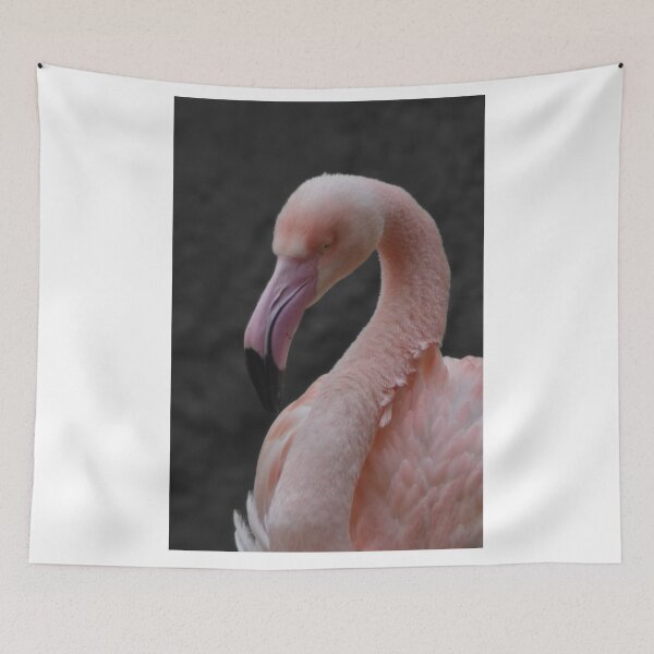 Item preview, Flamingo in color on gray designed and sold by El pato garabato.