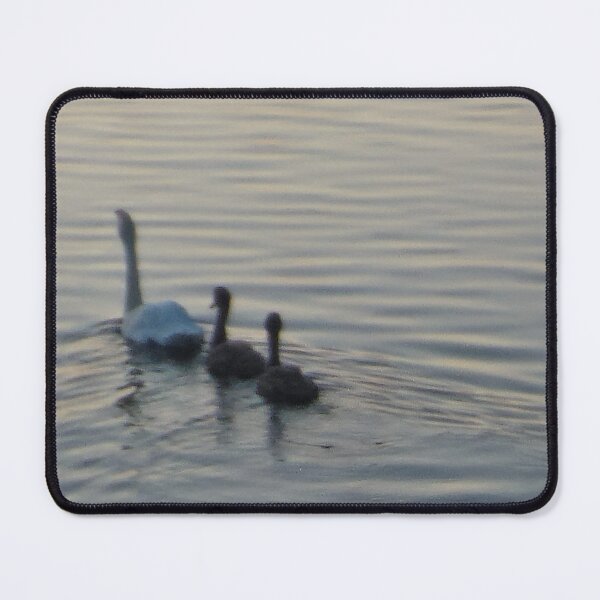 Item preview, Swans designed and sold by MonStile.