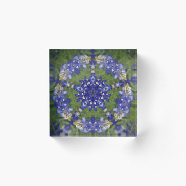 Beautiful Texas Bluebonnet Reflections Acrylic Block