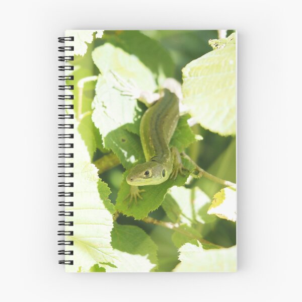 Item preview, Zoom on lizard hidden in middle of leaves. designed and sold by Syr'photographies.
