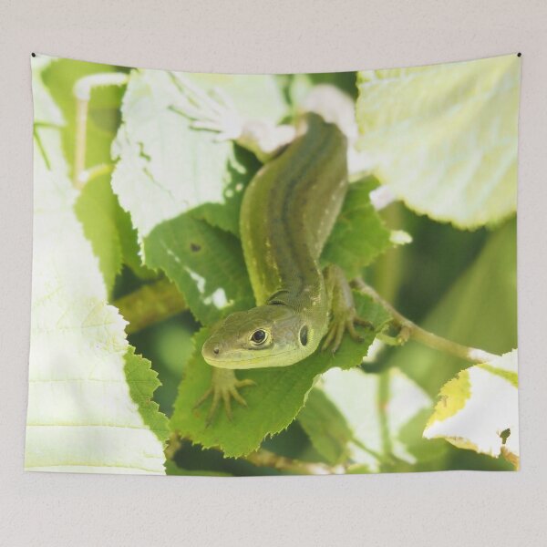 Item preview, Zoom on lizard hidden in middle of leaves. designed and sold by Syr'photographies.