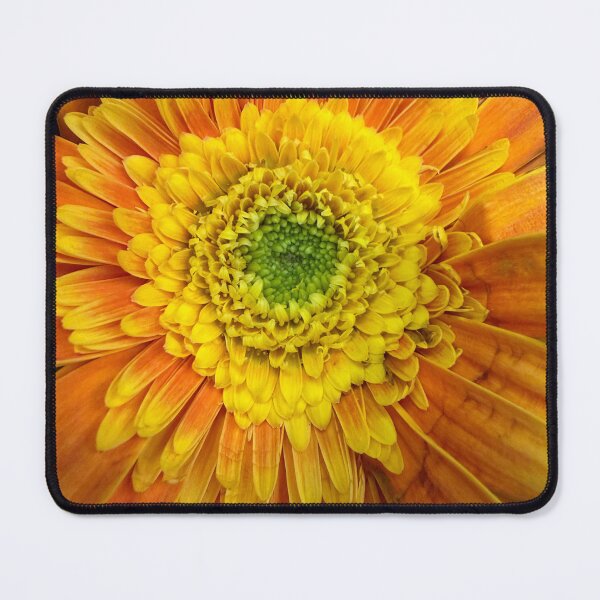Item preview, One Bright Pedal at a Time designed and sold by Betsy Phillips.