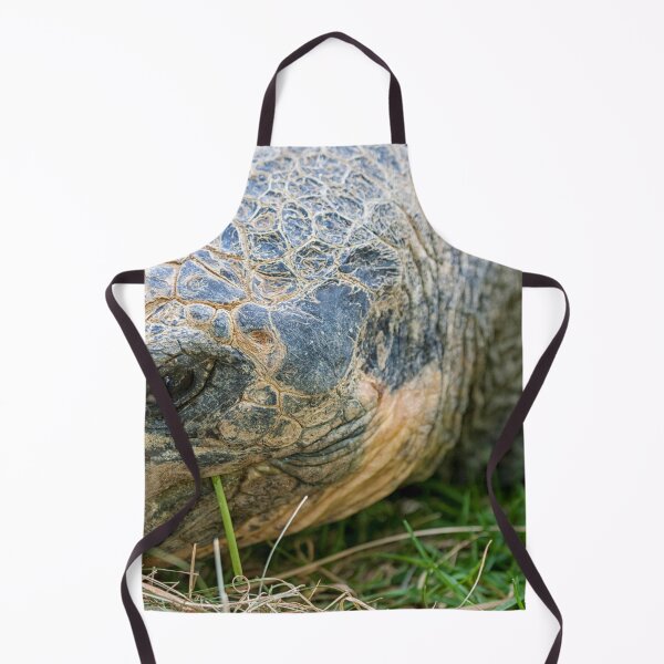 Item preview, Galápagos turtle (Geochelone Nigra). designed and sold by Photopat.