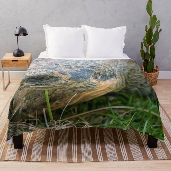 Item preview,  Galápagos turtle (Geochelone Nigra). designed and sold by Photopat.