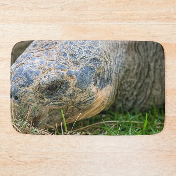 Item preview,  Galápagos turtle (Geochelone Nigra). designed and sold by Photopat.