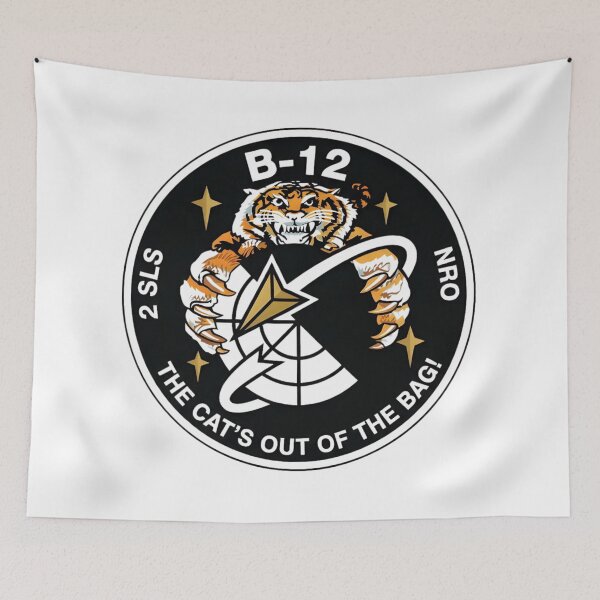 Item preview, NRO Space Mission Patch: "The Cat's Out of the Bag" designed and sold by CharlieDesings.