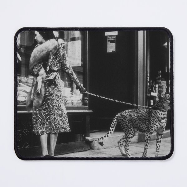 Item preview, American silent film actress Phyllis Gordon window-shopping in Earls Court, London 1939 with her four-year-old cheetah vintage black and white photograph designed and sold by Astrid Arkhangelsky.