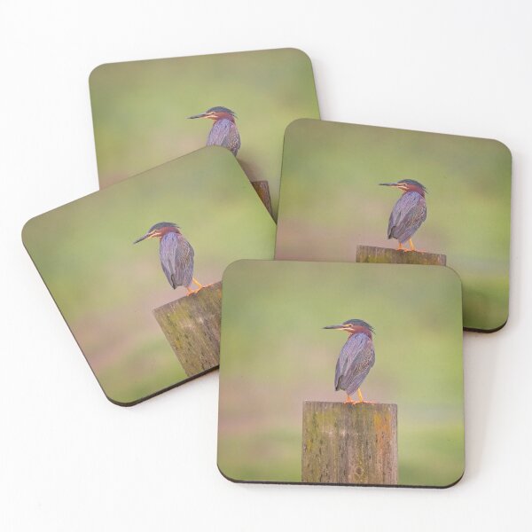 Item preview, Green Heron designed and sold by TomCPhoto.