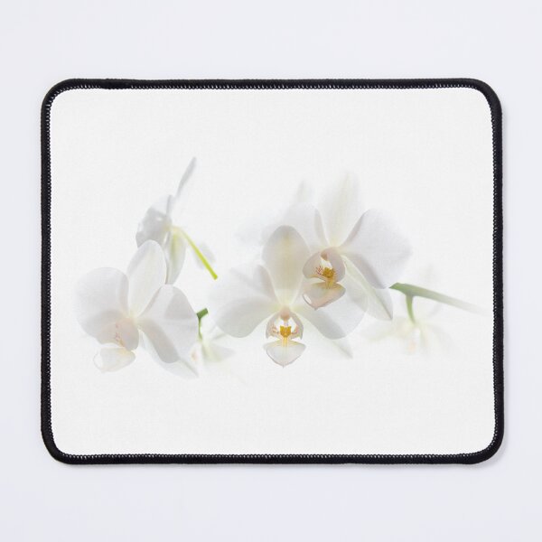 Item preview, Soft white orchid flowers designed and sold by iCimages.net.
