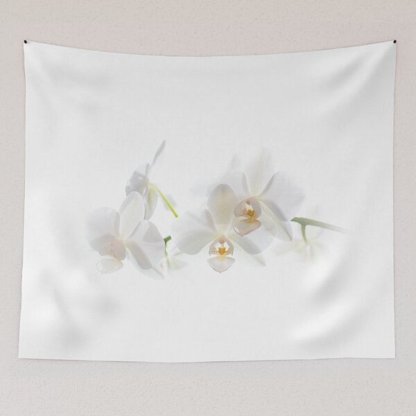 Item preview, Soft white orchid flowers designed and sold by iCimages.net.