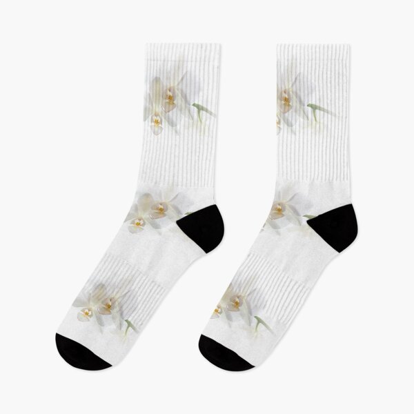 Item preview, Soft white orchid flowers designed and sold by iCimages.net.
