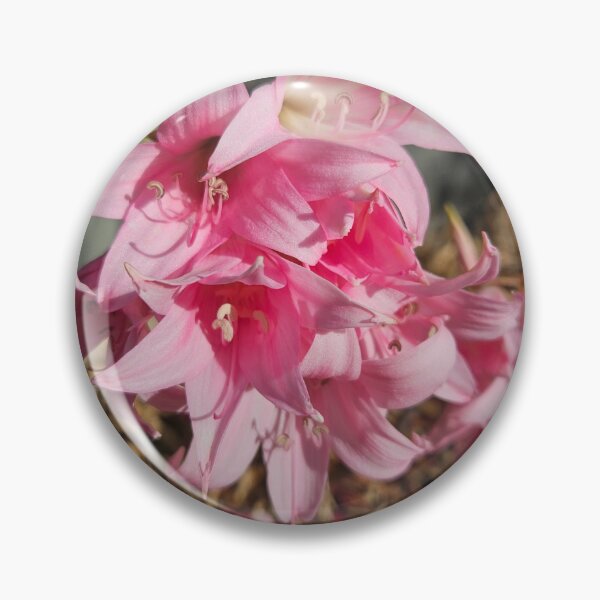 Item preview, Belladonna Lily designed and sold by Danni's Delights.