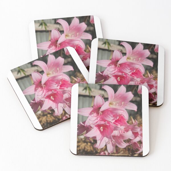 Item preview, Belladonna Lily designed and sold by Danni's Delights.
