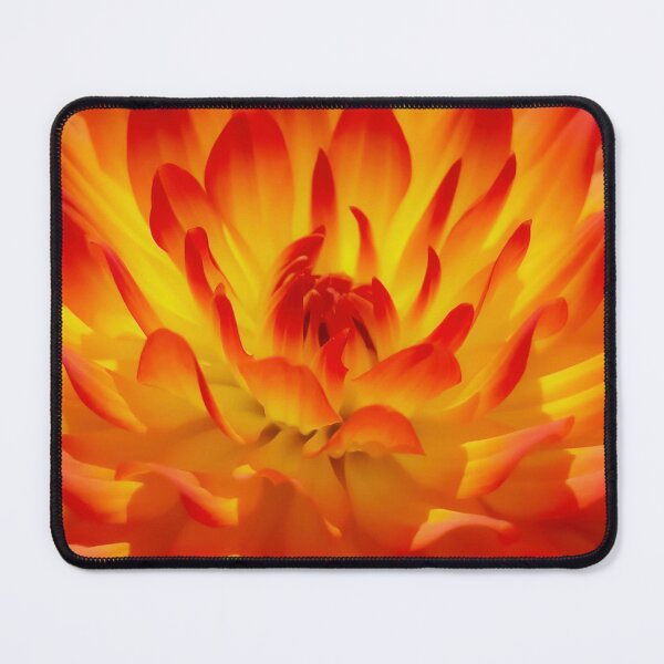 Item preview, The Gorgeous Petals Of A Summer Dahlia designed and sold by hurmerinta.