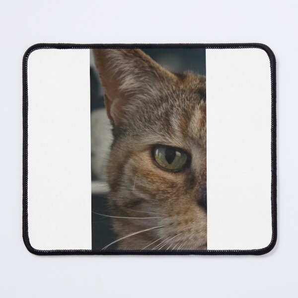 Item preview, "TikiTime" (the looks cats give) designed and sold by onespot.