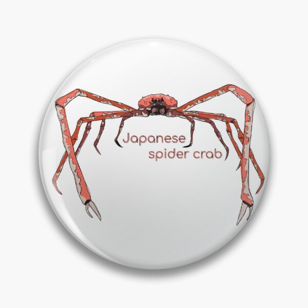 Item preview, Funky Aquatic Creatures: Japanese Spider Crab designed and sold by abigailhausman.