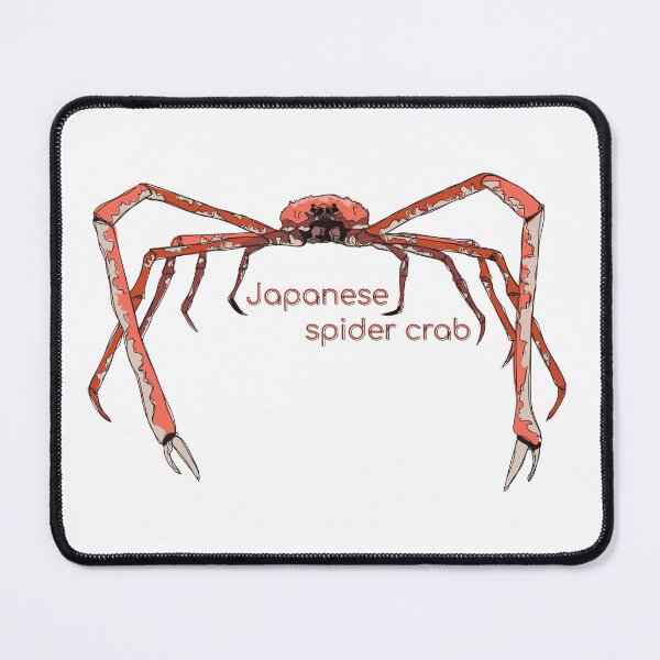 Item preview, Funky Aquatic Creatures: Japanese Spider Crab designed and sold by abigailhausman.