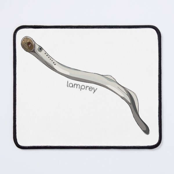 Item preview, Funky Aquatic Creatures: Lamprey designed and sold by abigailhausman.