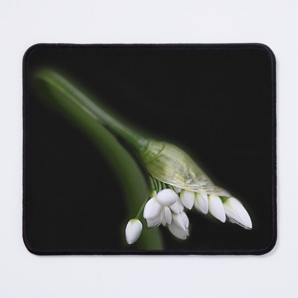 Item preview, Wild Garlic designed and sold by Paul Pasco.