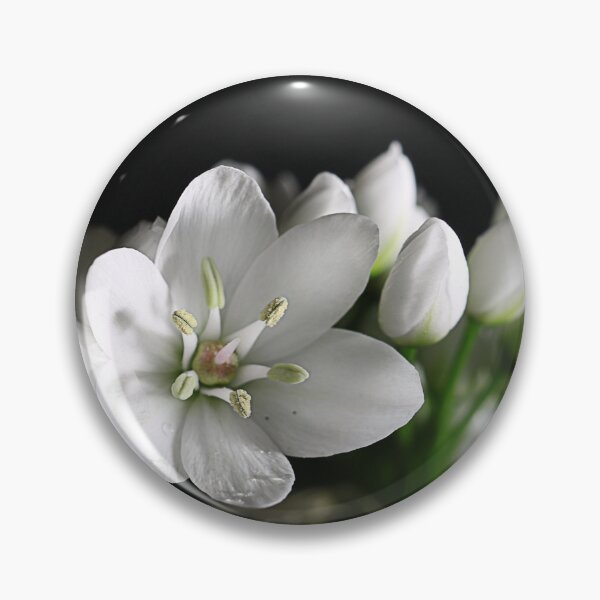 Item preview, Wild Garlic designed and sold by Paul Pasco.