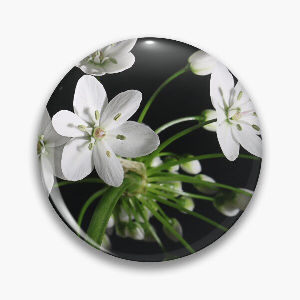 Item preview, Wild Garlic designed and sold by Paul Pasco.