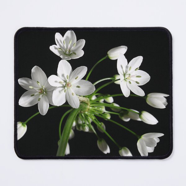 Item preview, Wild Garlic designed and sold by Paul Pasco.