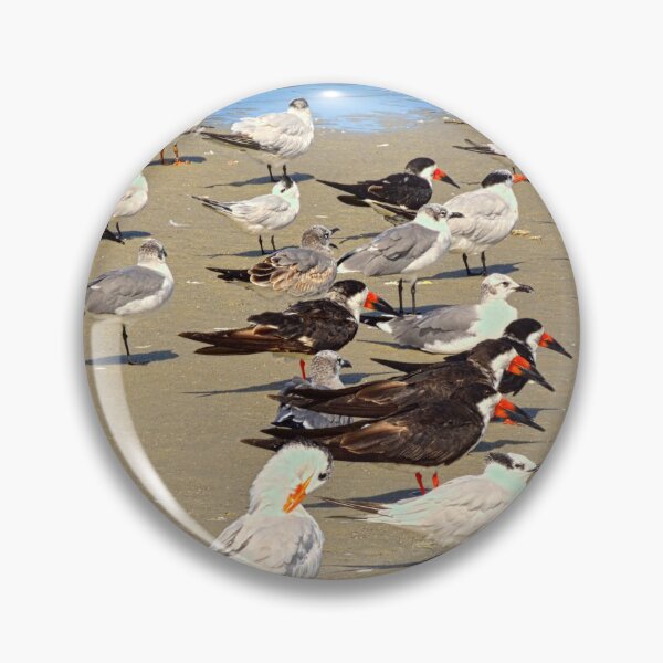 Item preview, Seabirds Gathering On Hilton Head Shore designed and sold by LisaWootenPhoto.