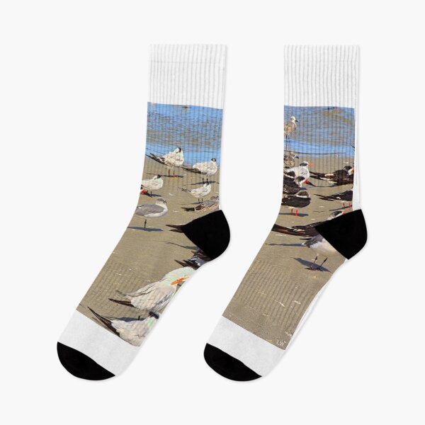Item preview, Seabirds Gathering On Hilton Head Shore designed and sold by LisaWootenPhoto.