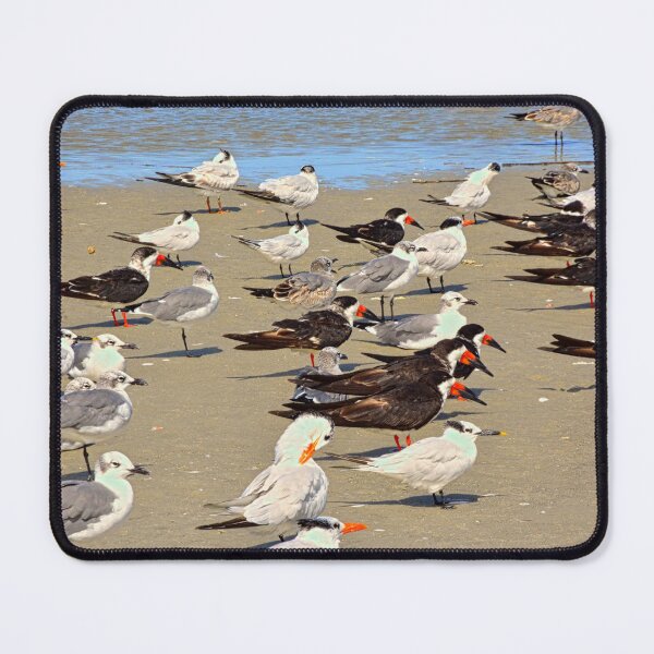 Item preview, Seabirds Gathering On Hilton Head Shore designed and sold by LisaWootenPhoto.