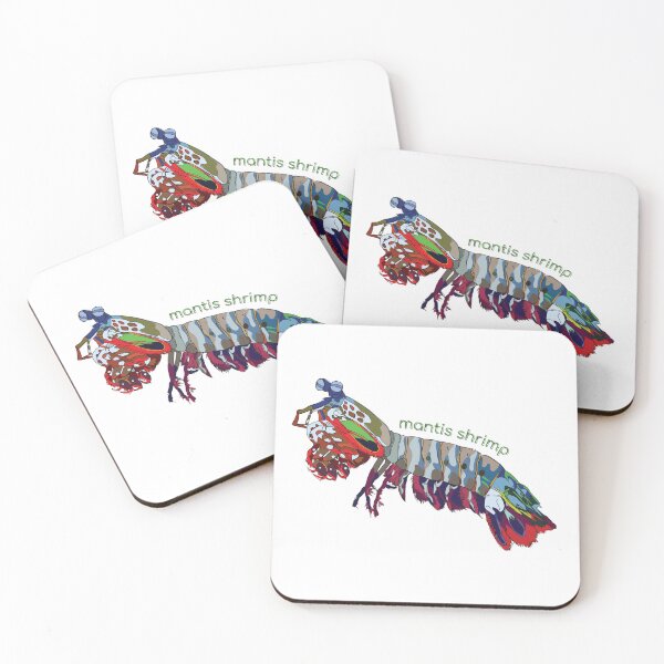 Item preview, Funky Aquatic Creatures: Mantis Shrimp designed and sold by abigailhausman.