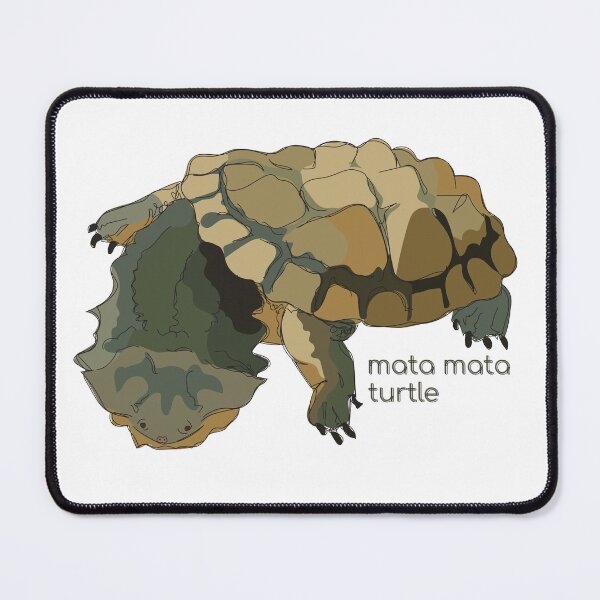 Item preview, Funky Aquatic Creatures: Mata Mata Turtle designed and sold by abigailhausman.