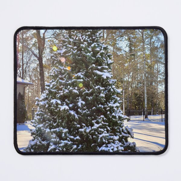 Item preview, Sunlit Snowy Evergreen Tree designed and sold by LisaWootenPhoto.
