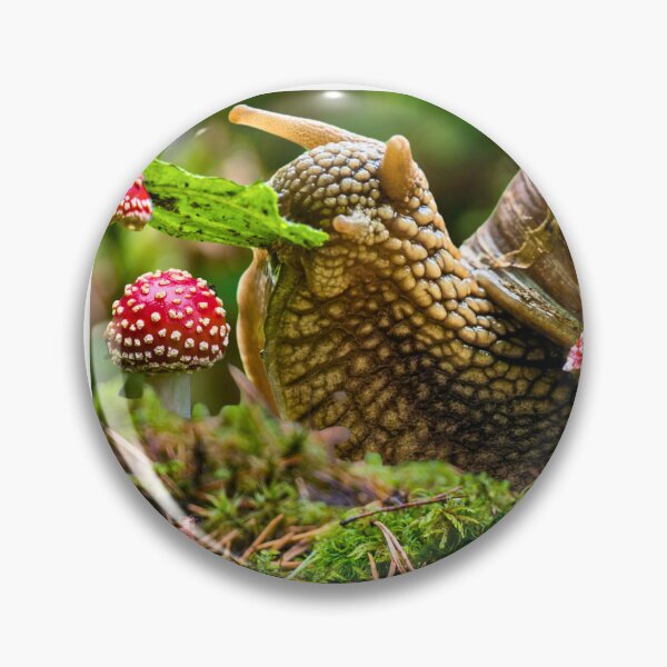 Item preview, Imperfection is Beautiful Snail Collage designed and sold by Diece studio .