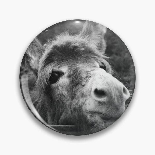 Item preview, sad donkey looking over fence  designed and sold by BarryMayfield.