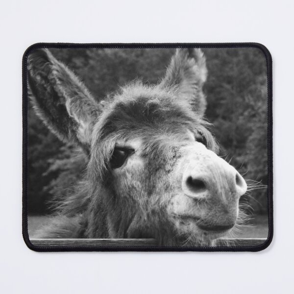 Item preview, sad donkey looking over fence designed and sold by BarryMayfield.