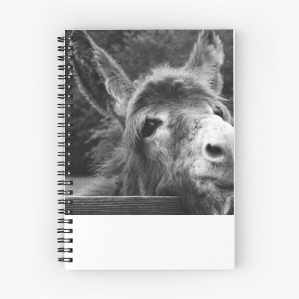 Item preview, sad donkey looking over fence  designed and sold by BarryMayfield.