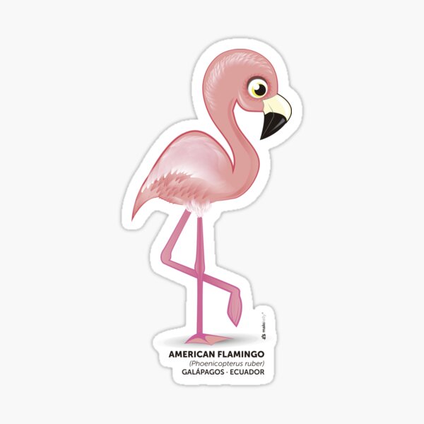 American Flamingo Bird Sticker