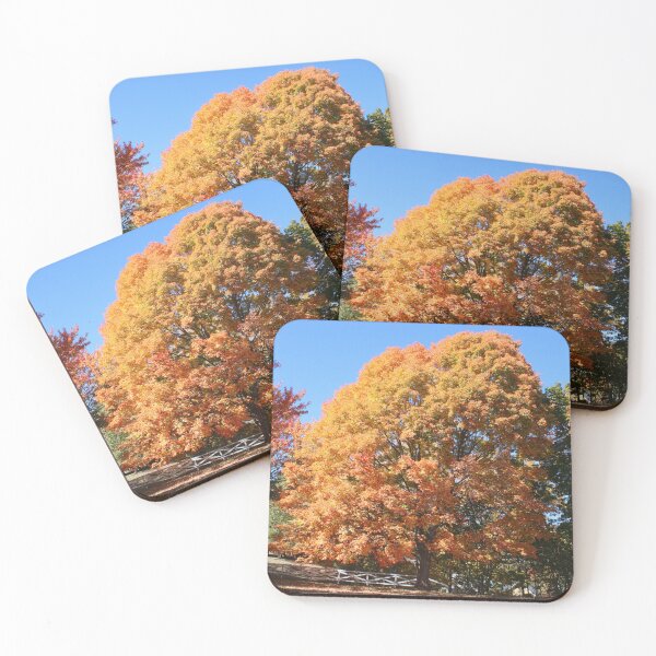 Item preview, Autumn Tree in Upper Michigan designed and sold by FFP Landscapes.