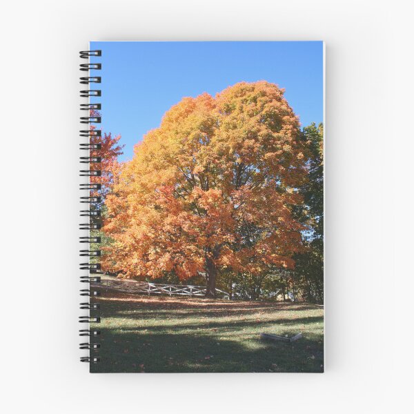 Item preview, Autumn Tree in Upper Michigan designed and sold by FFP Landscapes.