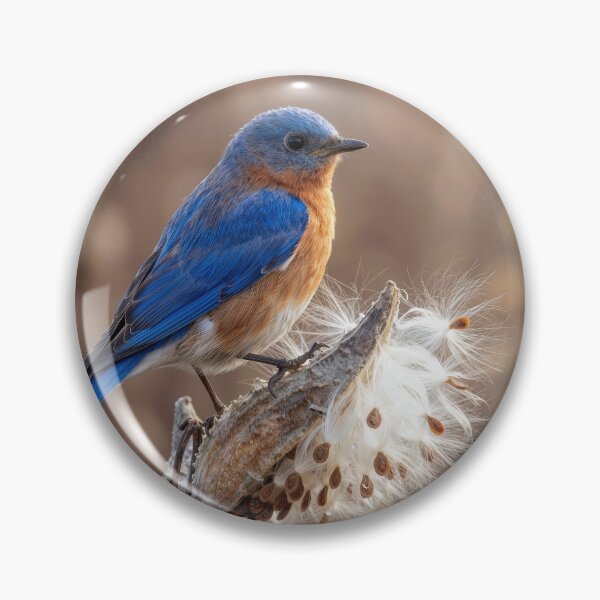 Item preview, Blubird Perched On a Milkweed Pod designed and sold by Maria Dryfhout.