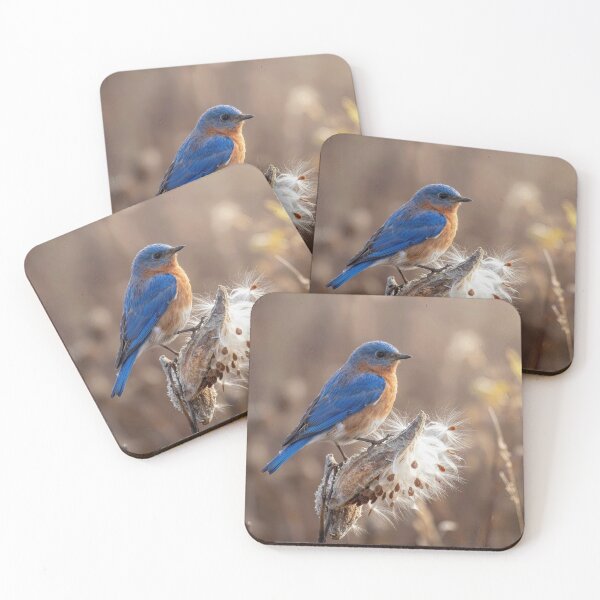 Item preview, Blubird Perched On a Milkweed Pod designed and sold by Maria Dryfhout.