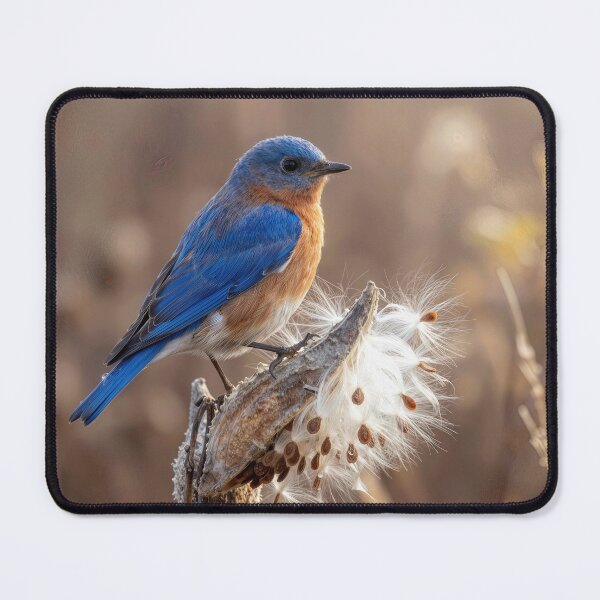 Item preview, Blubird Perched On a Milkweed Pod designed and sold by Maria Dryfhout.