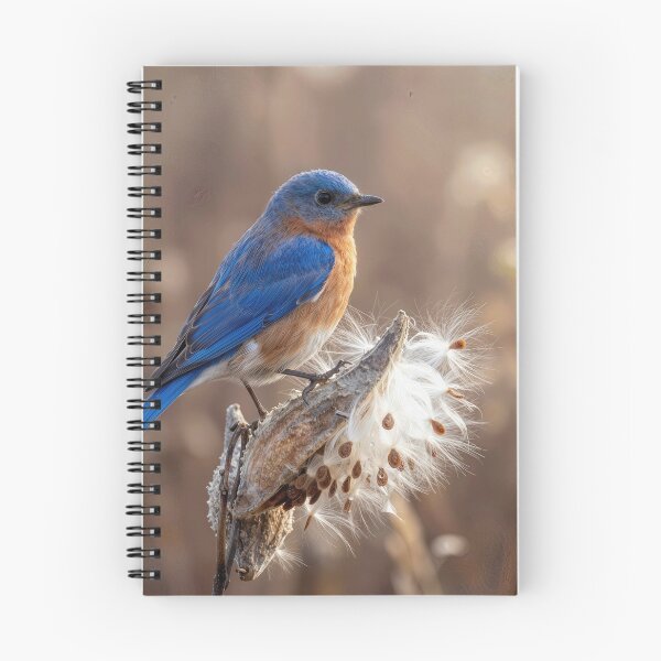 Item preview, Blubird Perched On a Milkweed Pod designed and sold by Maria Dryfhout.