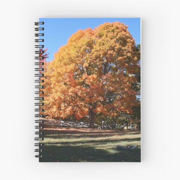 Item preview, Autumn Tree in Hubbell designed and sold by FFP Landscapes.
