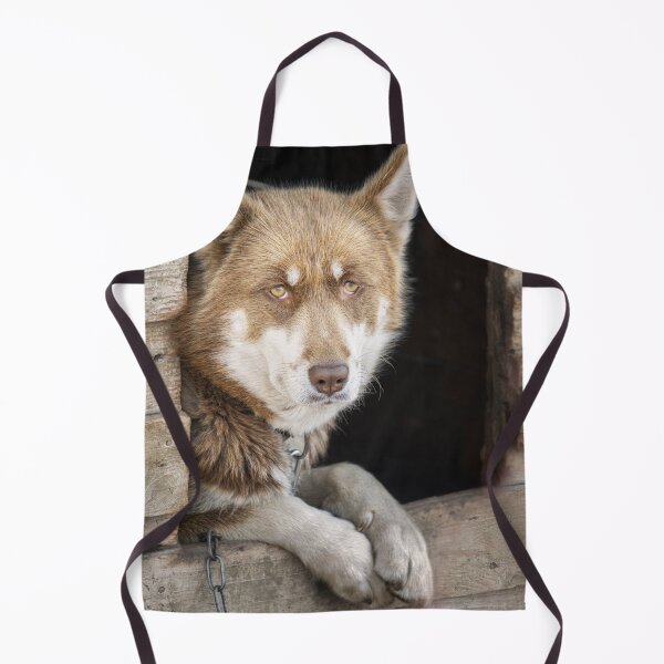 Item preview, Greenlandic Sled Dog Gazing from Wooden House designed and sold by PhotoArt by Joan Carroll.